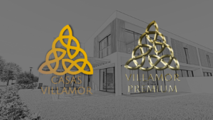 Casas Villamor
